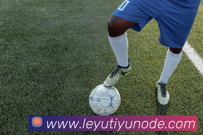 乐鱼体育APP 封面图