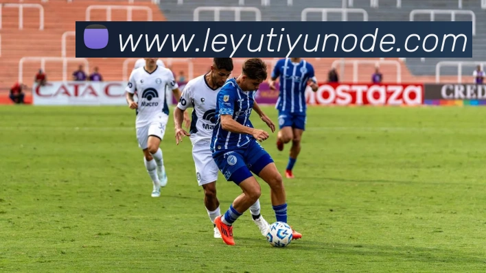 数据防护可视化