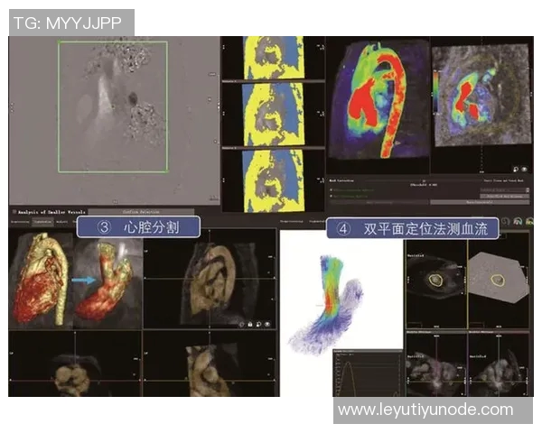 约维奇重摔受伤退场X光检查结果无异常明日将进行MRI检查评估伤情