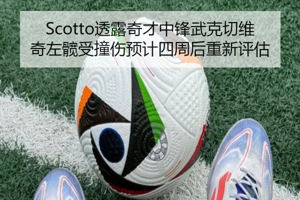 Scotto透露奇才中锋武克切维奇左髋受撞伤预计四周后重新评估 - leyu.com